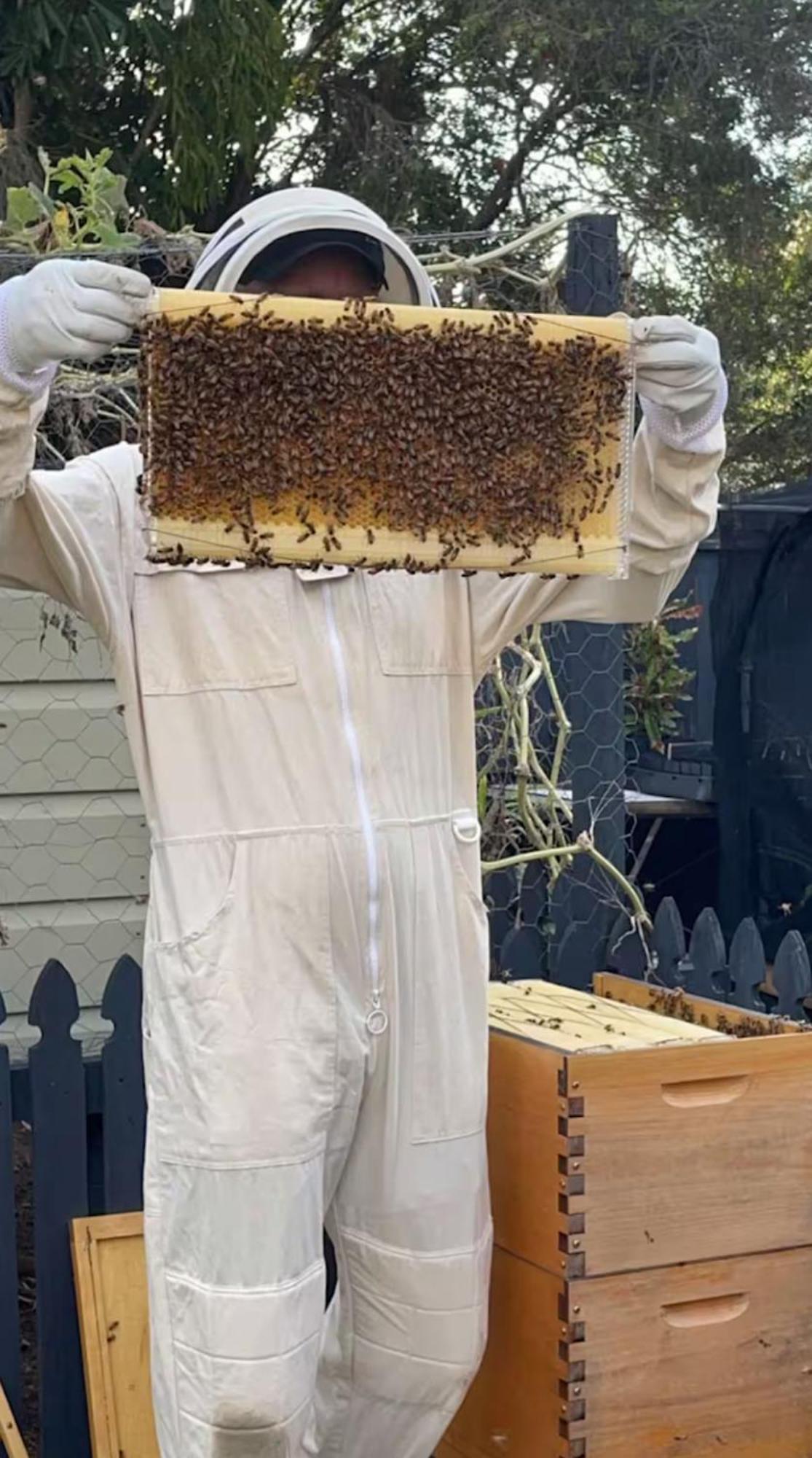 Bee House Ξενοδοχείο Dinmore Εξωτερικό φωτογραφία